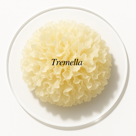 Tremella: korzyści grzyba śnieżnego w pielęgnacji skóry