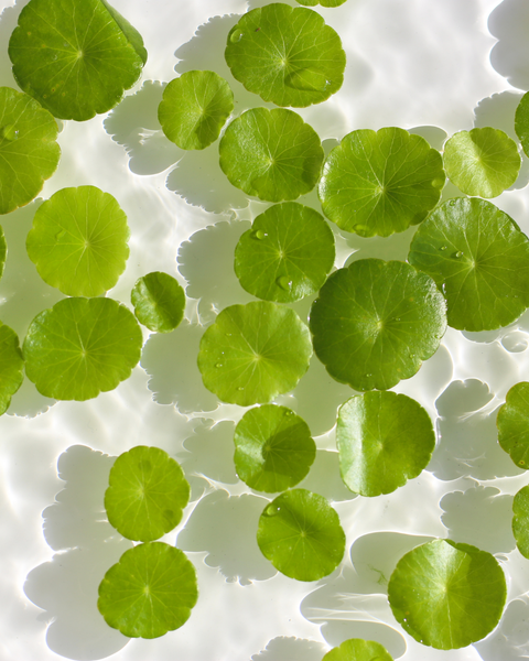 2. Centella Asiatica dla skóry wymagającej ukojenia